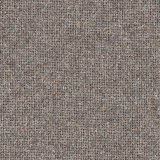 warm sand 641