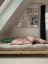 sofa FRESH natural pine (pohovka z borovice) - Barva: karup natural, barva futonu: brown 715